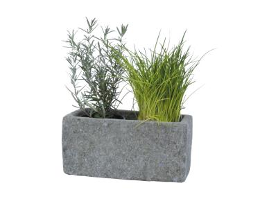Kategoriebild der Kategorie “Töpfe & Tröge, Pflanzgefäße”