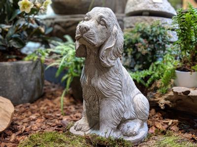 Kategoriebild der Kategorie “Katzen & Hunde”