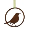 Product image 1 of the product “Amsel ”