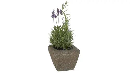 Artikelbild des Artikels “Pflanzgefäß, eckig, glatt, 15 cm “
