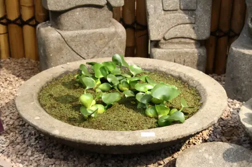 Artikelbild des Artikels “Schale Modell Lotus, bossierte Außenfläche, 30 cm Ø “