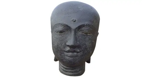 Artikelbild des Artikels “Mönchskopf, ca. 30 cm H “