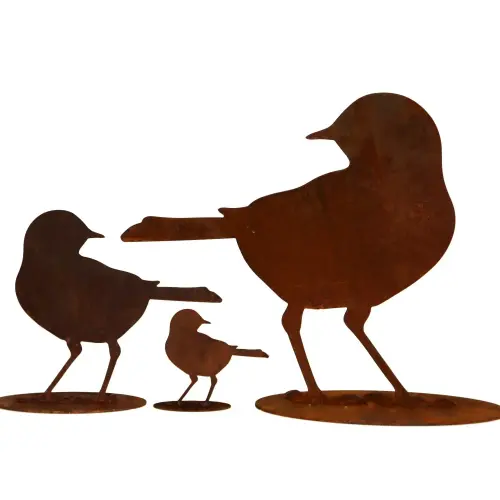 Product image of the product “Amsel ”