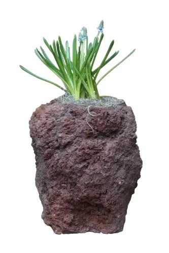 Artikelbild des Artikels “Natursteinschale aus Batu Merah, ca. 26 cm hoch “