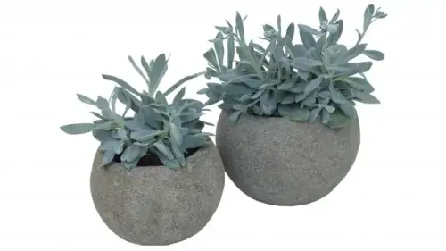 Artikelbild des Artikels “Pflanzgefäß, rund, glatt, 20 cm Ø “