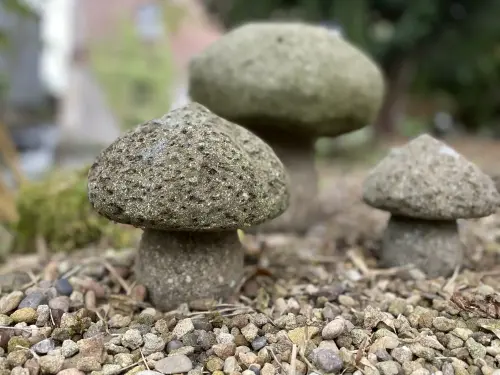 Artikelbild des Artikels “Pilz-Objekt, aus einem Stück, Größe M “