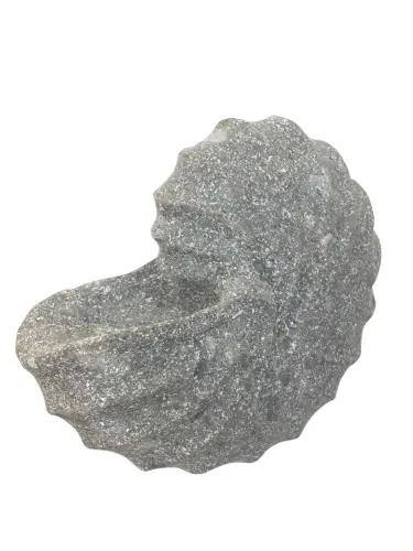 Artikelbild des Artikels “Nautilus-Schneckenhaus, 15 cm “