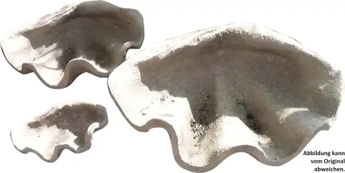Artikelbild des Artikels “SALE – Muscheldeko, 95 cm “