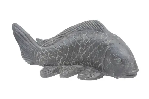 Artikelbild des Artikels “Koikarpfen, 55 cm “