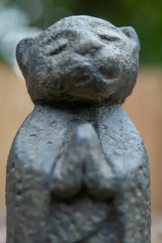 Artikelbild des Artikels “Stehender Katzenmönch, eher schlank, 20 cm “