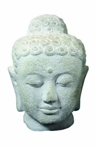 Artikelbild des Artikels “SALE - Buddha-Kopf, 20 cm “