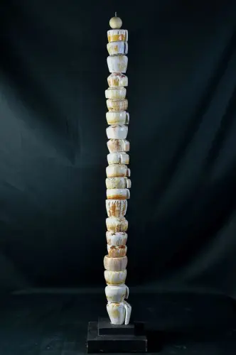 Artikelbild des Artikels “Muschel-Ornament “
