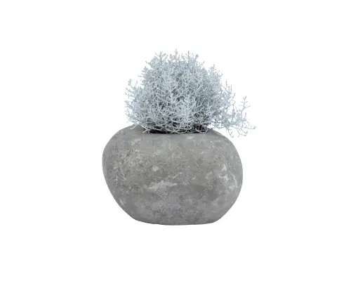 Artikelbild des Artikels “Pflanzgefäß, ausgehöhlter Stein, Größe S “