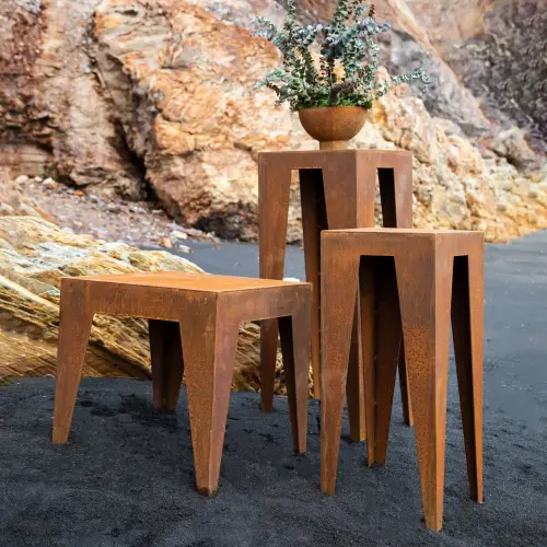 Product image of the product “Amsel ”