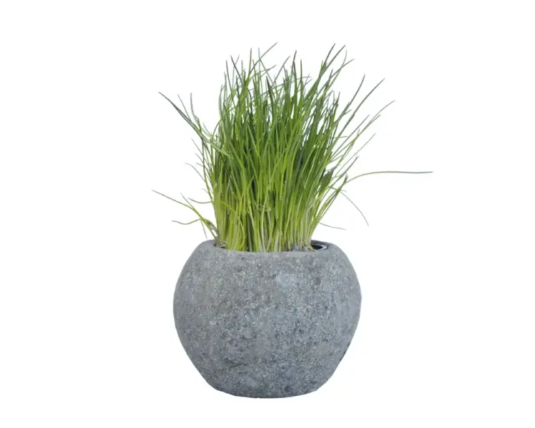 Artikelbild 1 des Artikels “Pflanzgefäß (Kräutertopf), rund, glatt, Ø 20,5 cm “
