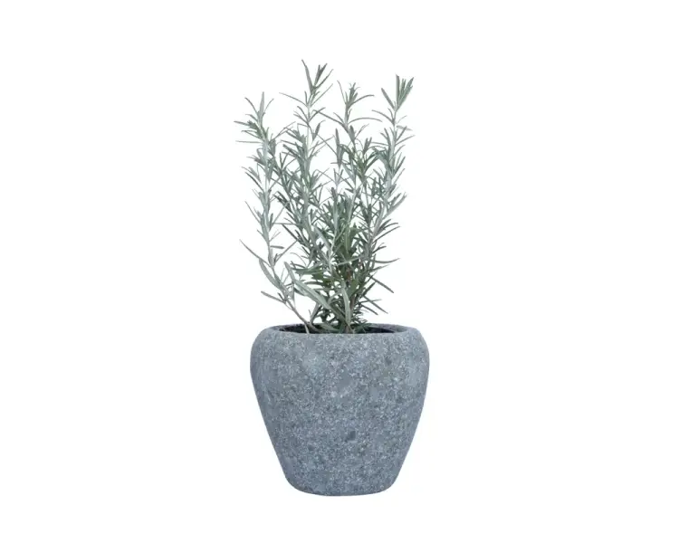 Artikelbild 1 des Artikels “Pflanzgefäß (Kräutertopf), rund, glatt, bauchig, 16 cm “