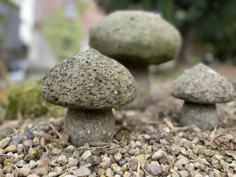 Artikelbild 1 des Artikels “Pilz-Objekt, aus einem Stück, Größe M “