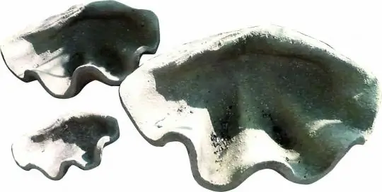 Artikelbild 1 des Artikels “Muscheldeko, 50 cm lang, Größe M “