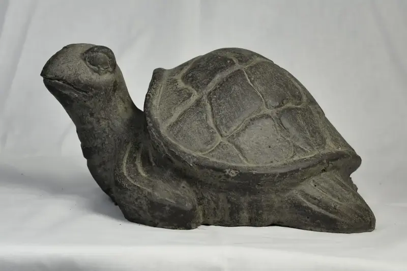Artikelbild 1 des Artikels “Schildkröte, ca. 25 cm lang “