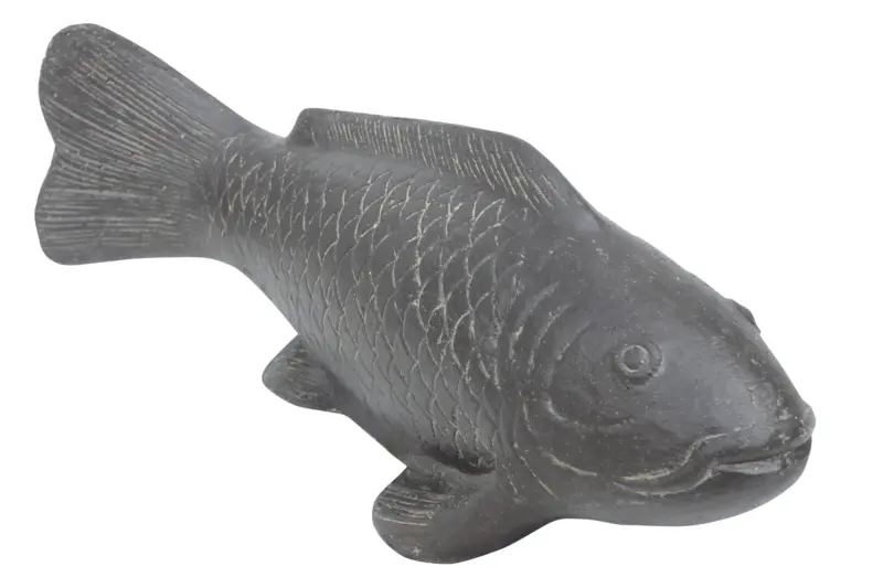 Artikelbild 1 des Artikels “Koikarpfen 60 cm “