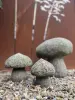 Artikelbild 2 des Artikels “Set 