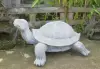 Artikelbild 2 des Artikels “Große Schildkröte, 85 cm Länge | Steinguss “