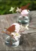 Product image 2 of the product “Amsel ”