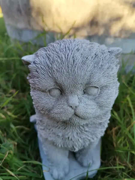 Artikelbild 2 des Artikels “Katze, 