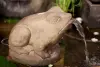 Product image 3 of the product “Seated frog, 33 cm H ”