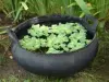 Artikelbild 3 des Artikels “Set aus zwei Schalen, recycelte Reifen, mit Griff “