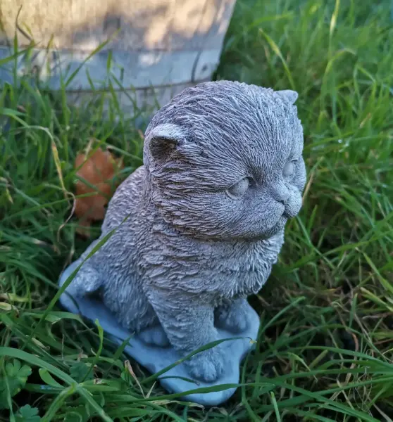 Artikelbild 3 des Artikels “Katze, 