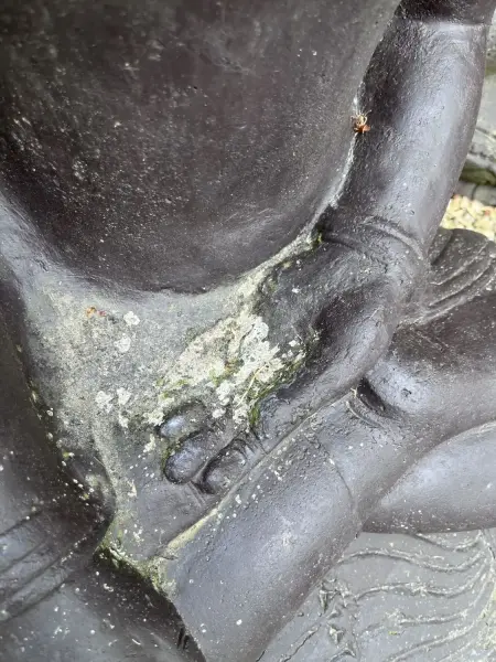 Artikelbild 4 des Artikels “Ausstellungsstück - Sitzender Buddha, Indien, 80 cm Höhe, Kunststein, hohl, handgefertigt & farbig. “