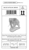Artikelbild 6 des Artikels “Rajah - Elefant, Blick rechts, 63 cm L | Steinguss “