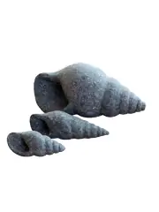 Artikelbild 1 des Artikels “Schneckenhaus, gedreht, Größe M “