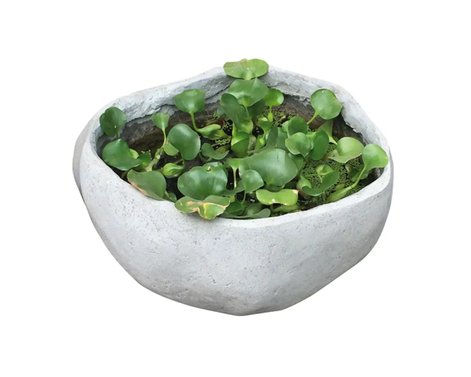 Product image 1 of the product “ ”