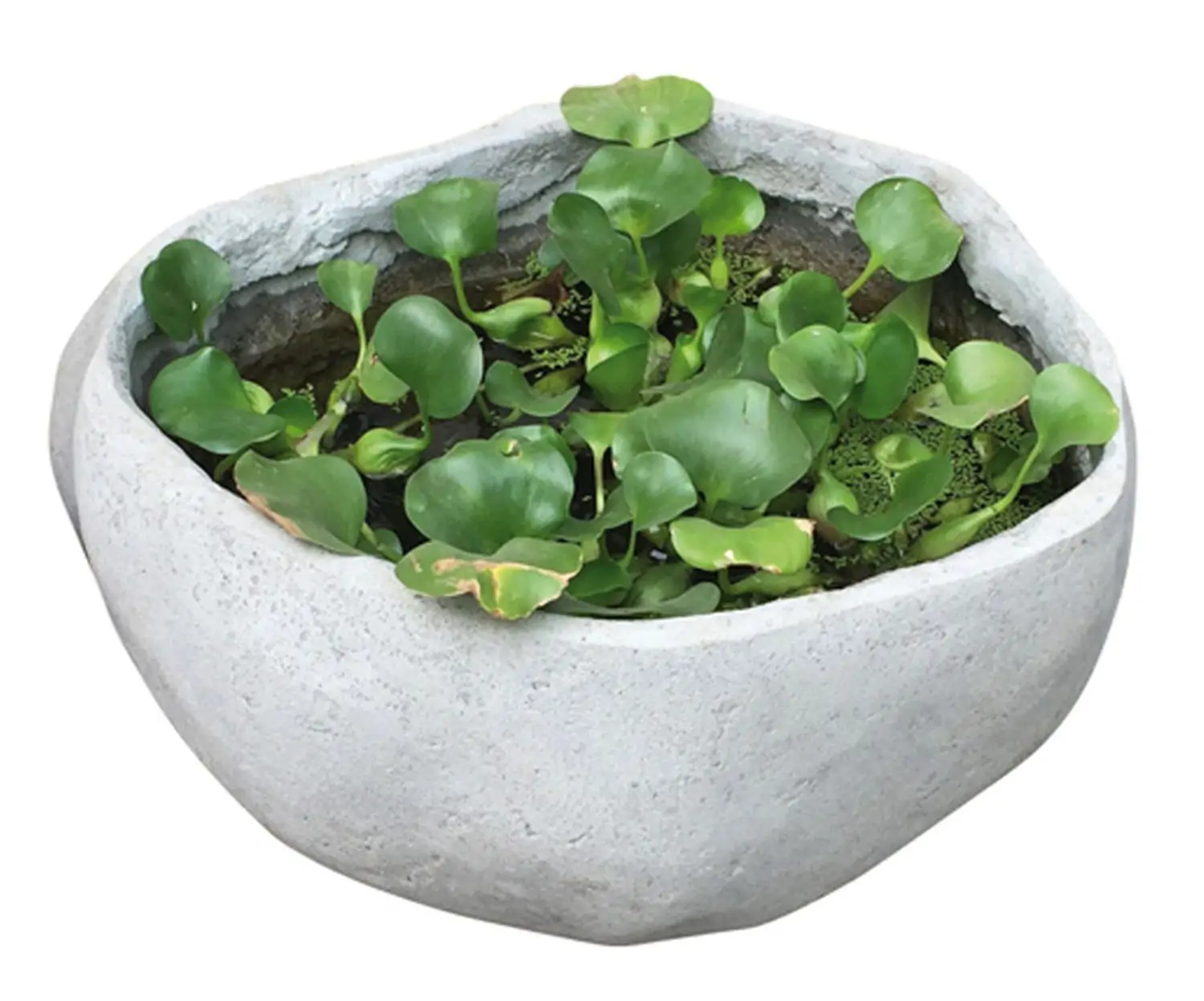Product image 1 of the product “ ”