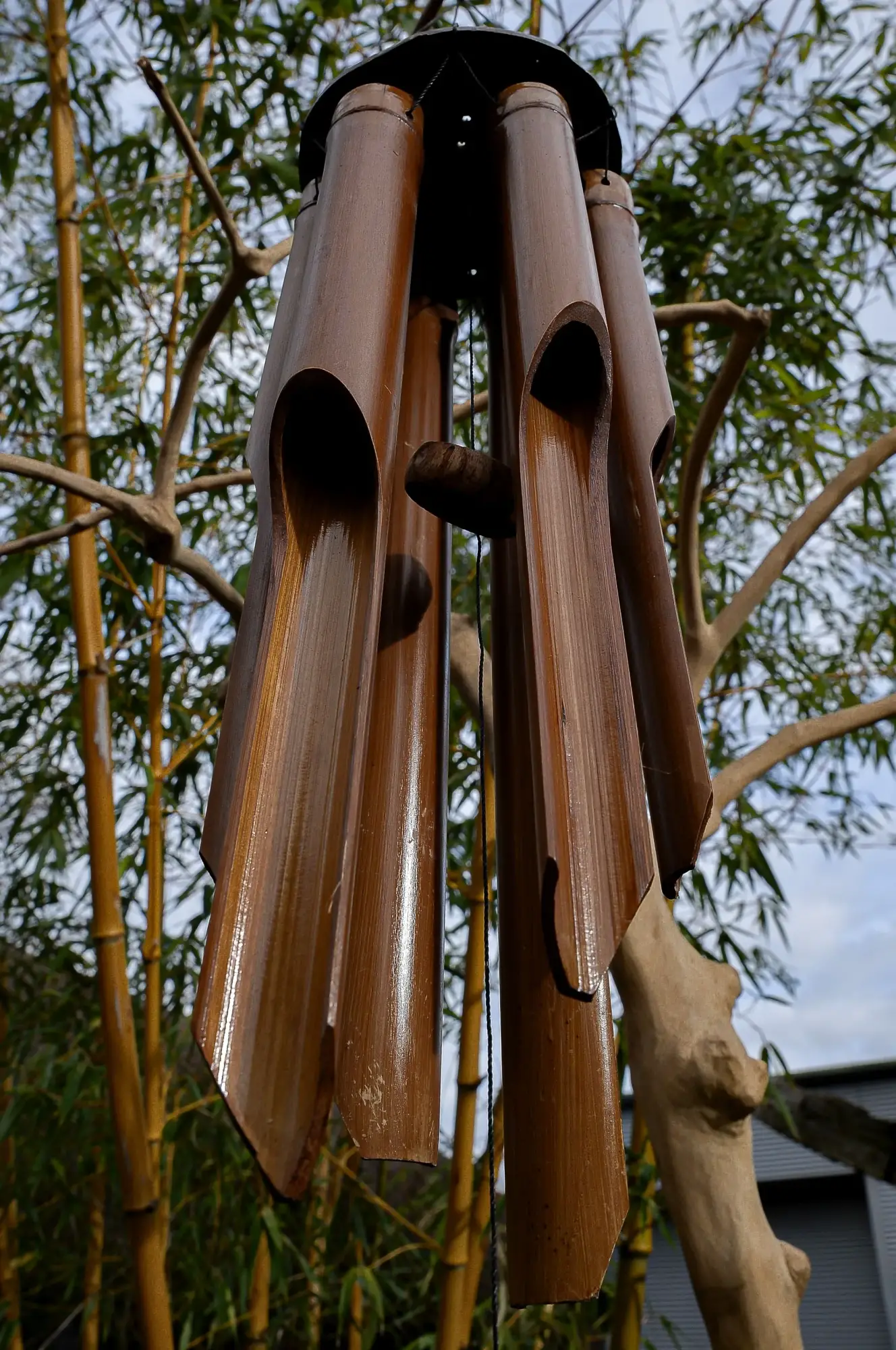 Artikelbild 1 des Artikels “Windspiel 