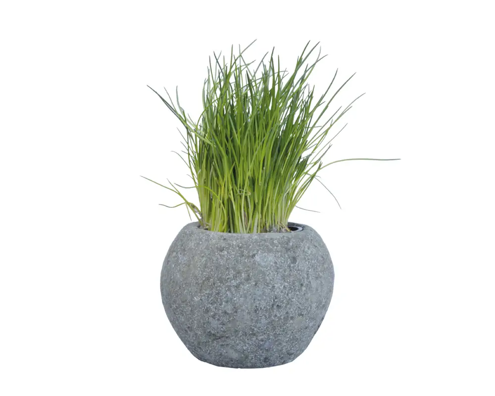 Artikelbild 1 des Artikels “Pflanzgefäß (Kräutertopf), rund, glatt, Ø 20,5 cm “