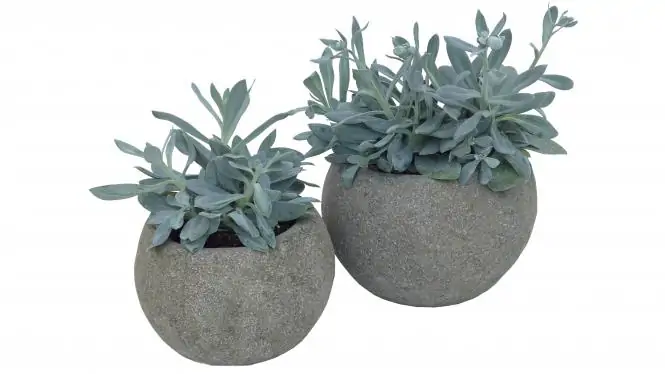 Artikelbild 1 des Artikels “Pflanzgefäß, rund, glatt, 20 cm Ø “