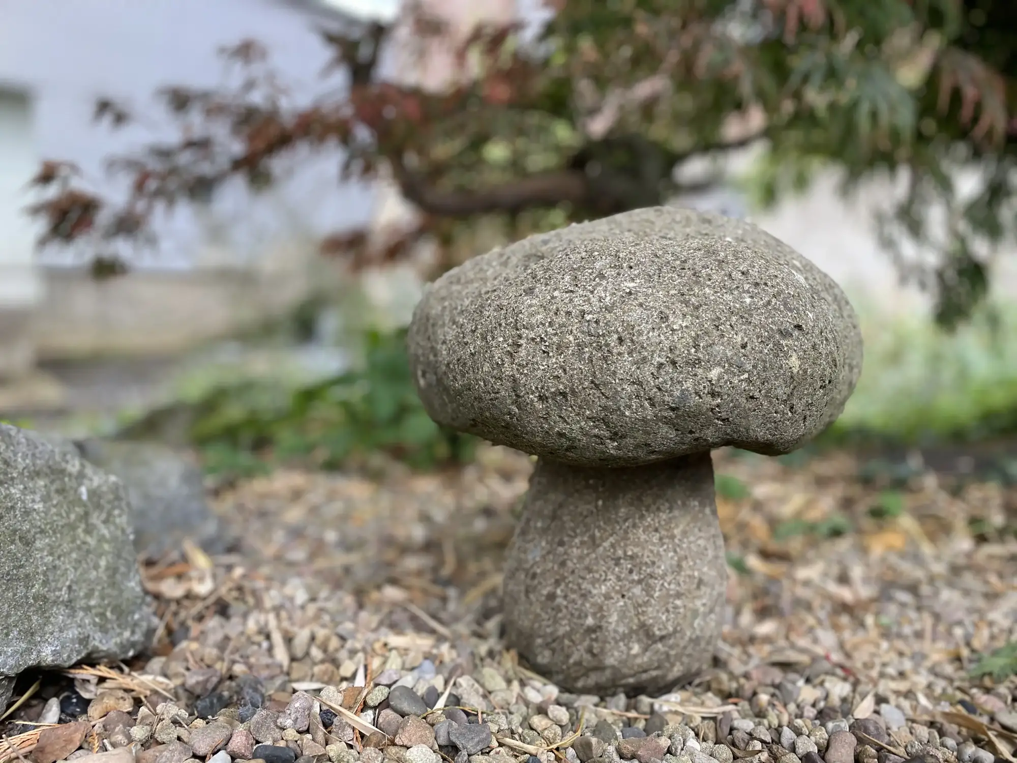 Artikelbild 1 des Artikels “Pilz-Objekt, aus einem Stück, Größe L “