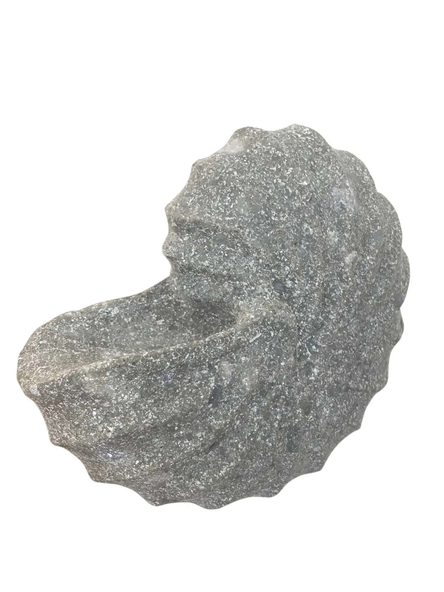 Artikelbild 1 des Artikels “Nautilus-Schneckenhaus, 20 cm “