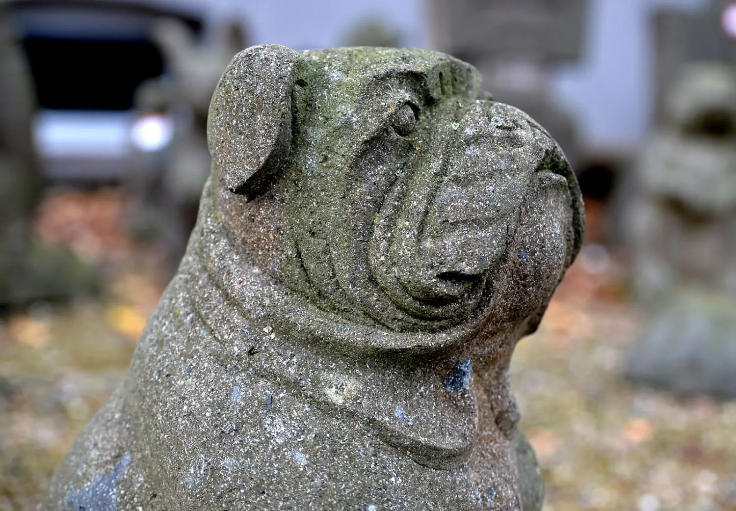 Artikelbild 1 des Artikels “Sitz. Bulldogge auf Sockel, ca. 60 cm hoch “