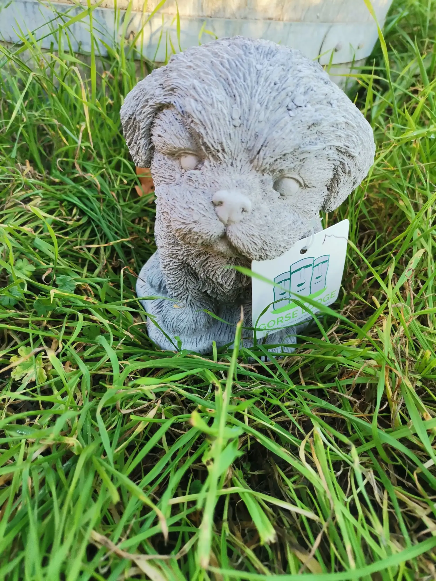 Artikelbild 1 des Artikels “Hund, kleiner Welpe 