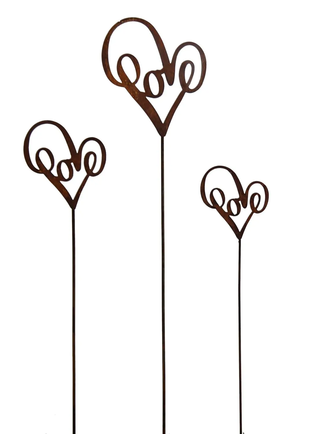 Product image 1 of the product “Amsel ”