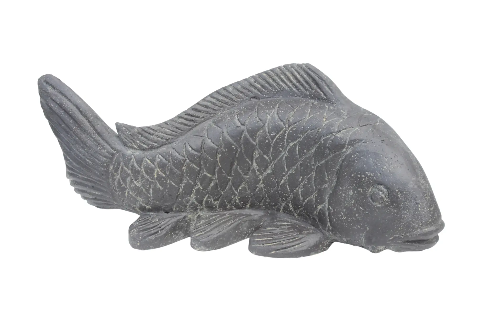 Artikelbild 1 des Artikels “Koikarpfen, 55 cm “
