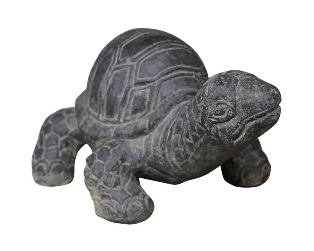 Artikelbild 1 des Artikels “Schildkröte, ca. 33 cm “