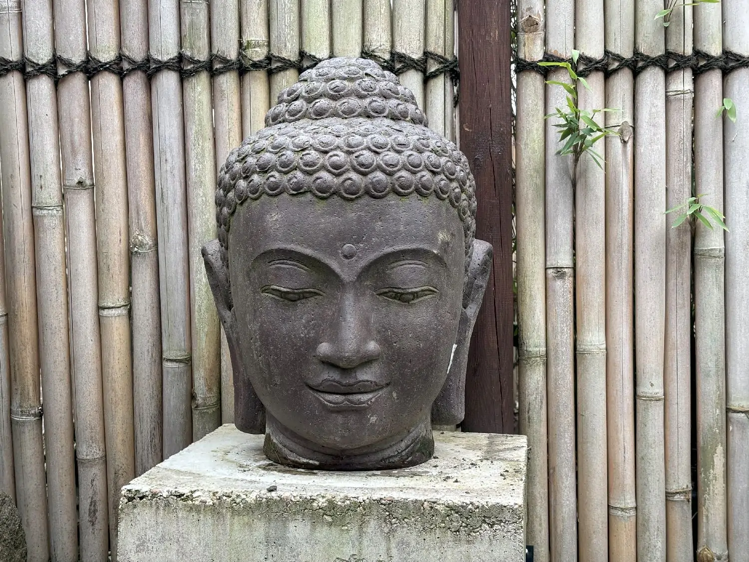 Product image 1 of the product “Buddha head as a water feature, 35x32x50cm, cast stone, hollow, handcrafted & coloured ”