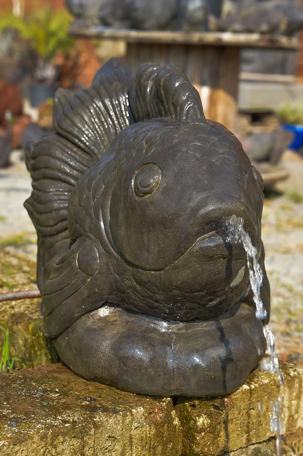 Artikelbild 1 des Artikels “Fisch als Wasserspiel, Kampffisch, 65 cm L “