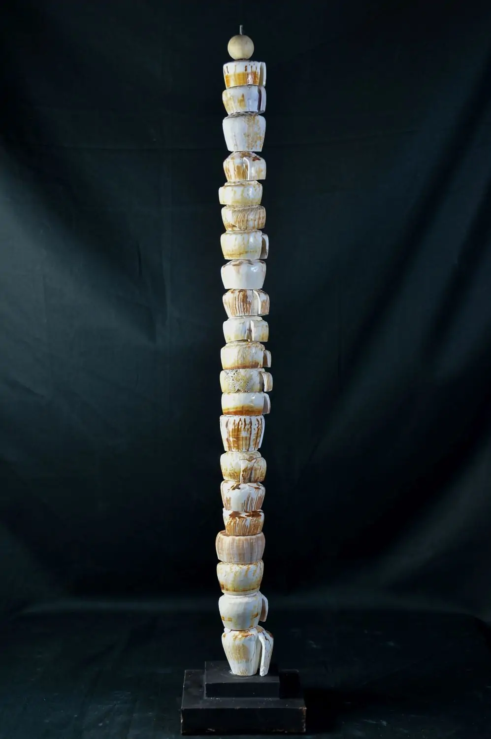 Artikelbild 1 des Artikels “Muschel-Ornament “