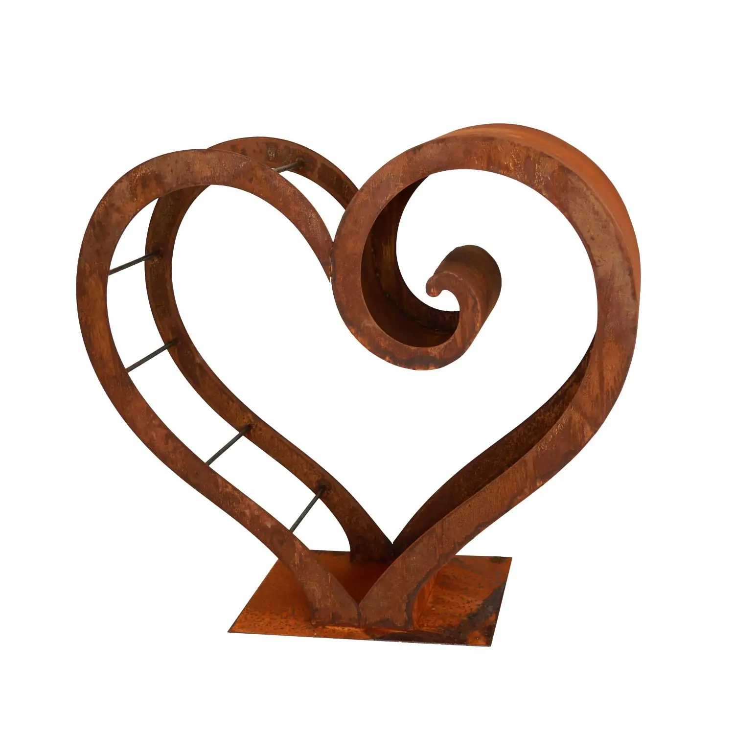 Product image 1 of the product “Amsel ”